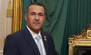النائب ياسر نصر الهواري عضو مجلس النواب 