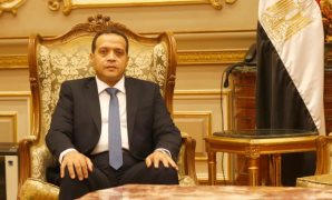 النائب محمد الوفا عضو مجلس الشيوخ