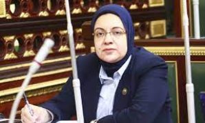 النائبة ريهام عبدالنبى: ما رؤية وزارة الرياضة لتوفير العمالة لتشغيل مراكز الشباب بأسوان؟