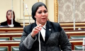  الدكتورة شيماء محمود نبيه - عضو مجلس النواب