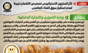 الحكومة تنفى تأثر مخزون مصر من الأقماح نتيجة لعدم استقرار سوق الغذاء العالمى