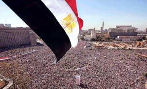 نائب: 30 يونيو أنقذت مصر من حرب أهلية ومصير أسود