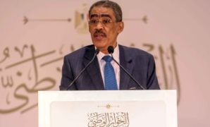 ضياء رشوان: مصر تقود جهدا مكثفا لحماية المصالح العربية من آثار التحولات العالمية
