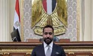 النائب ناصر هديه، عضو مجلس النواب