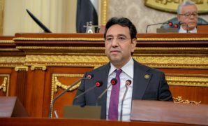 برلماني: مرافعة مصر أمام محكمة العدل الدولية تستهدف تأكيد شمولية رؤية "حل الدولتين" المصرية