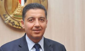 سفير مصر عمر عامر 