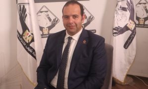 الدكتور أنور إسماعيل مساعد وزير الصحة للمشروعات القومية