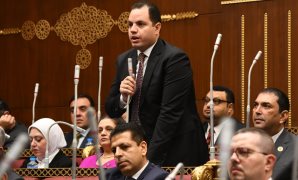 النائب احمد فوزي عضو مجلس الشيوخ 