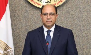 برلمانى: مركز البدرشين تحول من عاصمة مصر الأولى لساحة تنقيب على الآثار