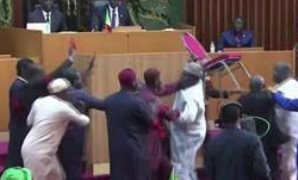 شجار فى البرلمان السنغالى