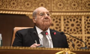 عبد الوهاب عبد الرازق - رئيس مجلس الشيوخ