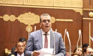 النائب محمود منصور يطالب الحكومة بالاستخدام الأمثل للمسطحات المائية فى مصر 