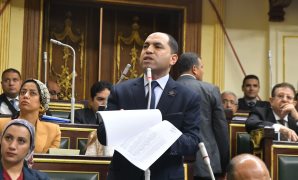عمرو درويش - خلال الجلسة العامة