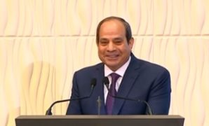 رئيس صحة الشيوخ: كلمة الرئيس بقمة الأمن الأفريقى تؤكد ثوابت مصر تجاه قضايا القارة