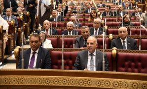 لجنة الدفاع بـ"الشيوخ" تناقش ترسيخ قيم الشخصية المصرية