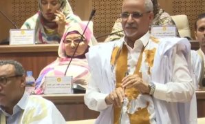 تعرف على تقسيم الدوائر بالنظام الفردي لمحافظة القليوبية بعد التعديلات