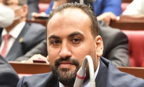 محمد الرشيدي عضو مجلس الشيوخ
