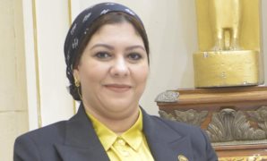  شيماء محمود نبيه عضو مجلس النواب