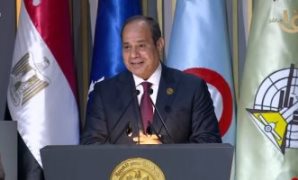 وكيل خارجية الشيوخ: مصر تحملت فاتورة اقتصادية وأمنية نتيجة أزمات دول الجوار