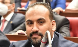  النائب محمد الرشيدي عضو مجلس الشيوخ