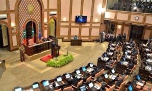 البرلمان المالديفى
