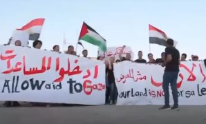 مظاهرات تأييد فلسطين - صورة أرشيفية
