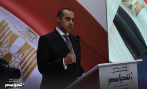 المستشار محمود فوزى رئيس الحملة الانتخابية للمرشح الرئاسي عبد الفتاح السيسي