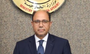 السفير أحمد أبو زيد المتحدث باسم الخارجية