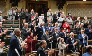برلماني: موقف مصر من القضية الفلسطينية تاريخي وراسخ  