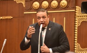 النائب محمد عزمي عضو مجلس الشيوخ عن تنسيقية شباب الأحزاب و السياسيين