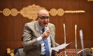 النائب عمرو عزت يطالب بتوضيح خطة الحكومة لمضاعفة عائدات مصر من التصدير الرقمي