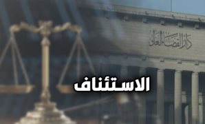 عضو خارجية النواب: دعم مصر لمحاكمة إسرائيل يجسد الحرص على حقوق فلسطين