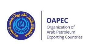 النائبة سچى عمرو هندي: تراجع البطالة إلى 6.3% يعكس تحسنًا حقيقيًا في سوق العمل