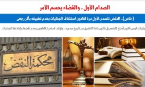 برلماني: مرافعة مصر أمام محكمة العدل الدولية تستهدف تأكيد شمولية رؤية "حل الدولتين" المصرية