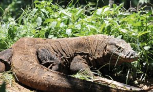 النائب محمد سليم  يتقدم باقتراح لتنظيم أوضاع السناتر ودمجها في المنظومة التعليمية