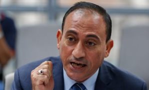 رئيس زراعة النواب: البطولة العربية للفروسية تعكس حالة الاستقرار وتؤصل للرياضة داخل مصر