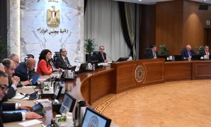 مجلس الوزراء يوافق على تعاقد صندوق مصر السيادى مع استشاري قانوني دولي لعقود الهيدروجين الاخضر  