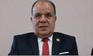 النائب أحمد مهنى نائب رئيس حزب الحرية المصري