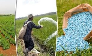 تعرف على الاختصاصات القانونية للمحكمة الاقتصادية