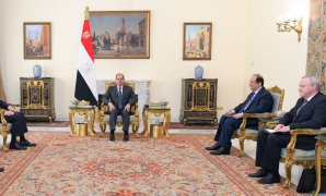 وكيل الشيوخ: مصر تسير وفق استراتيجية وخطة للتوسع في زراعة القطن