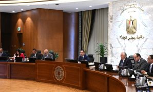 برلمانية تثمن توجيهات الرئيس للدكتور مصطفى مدبولى بتشكيل الحكومة الجديدة