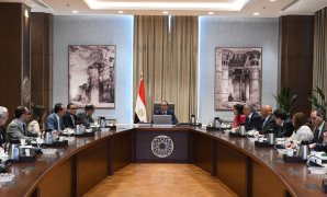 النائب أحمد المصرى: توجيهات الرئيس بشأن مشروعات التوسع الزراعى تحقق الأمن الغذائي للبلاد