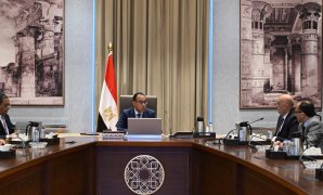 وكيل الشيوخ: مصر تسير وفق استراتيجية وخطة للتوسع في زراعة القطن