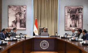 مجلس الوزراء: الخميس 25 أبريل إجازة رسمية بمناسبة عيد تحرير سيناء 