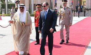 نواب: لقاء الرئيس السيسي وأمير الكويت تأكيد لقوة العلاقات بين البلدين