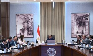 النائب أحمد المصرى: توجيهات الرئيس بشأن مشروعات التوسع الزراعى تحقق الأمن الغذائي للبلاد