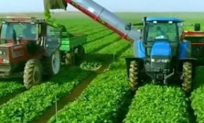 المونوريل يستعد لاستقبال الركاب.. إجراء تجارب للتأكد من سلامة أنظمة الأمان بالمحطات.. تعيين فنيين للصيانة واستمرار التشغيل التجريبى بدون جمهور.. والقطار يسير بدون سائق ويوجه عن بعد من العاصمة الإدارية الجديدة
