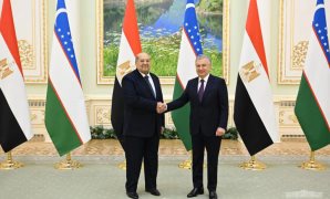 رئيس مجلس الشيوخ يبحث تعزيز التعاون مع رئيس جمهورية أوزباكستان