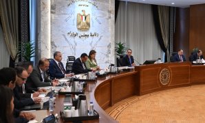 مجلس الوزراء: 5130 مشروعًا تم تنفيذها ببرنامح التنمية المحلية بصعيد مصر بإجمالي استثمارات 22.25 مليار جنيه