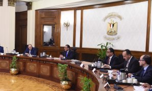 مجلس الوزراء: 5130 مشروعًا تم تنفيذها ببرنامح التنمية المحلية بصعيد مصر بإجمالي استثمارات 22.25 مليار جنيه